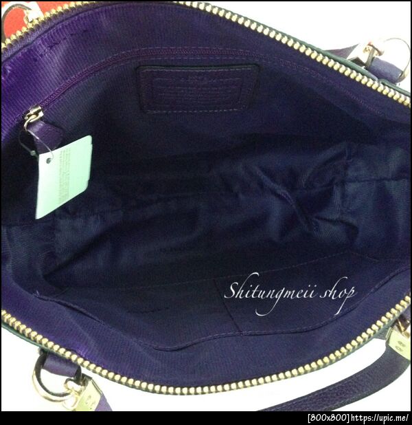 33733 VIOLET2