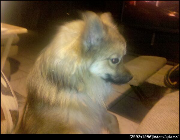 ShuShu! :D
