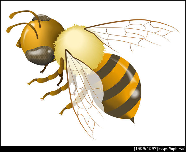 สนใจใช้บริการคลิกที่ลิงค์นี้: https://fastwork.co/product/565ea0447d2deddc0969981c