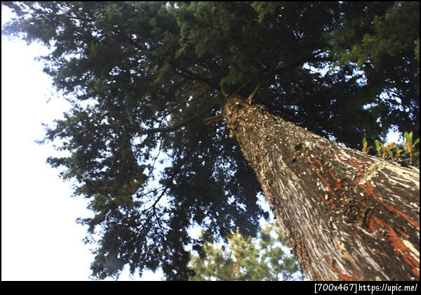 ปางอุ๋ง