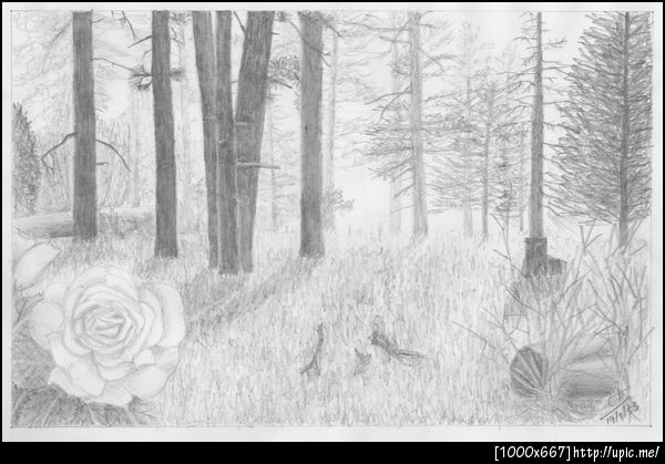 ได้แล้ว เอารูปนี้แหละ ส่งไปให้นางฟ้าในวันวาเลนไทน์